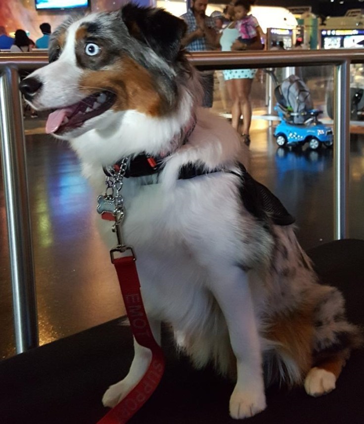 Aero at NASA