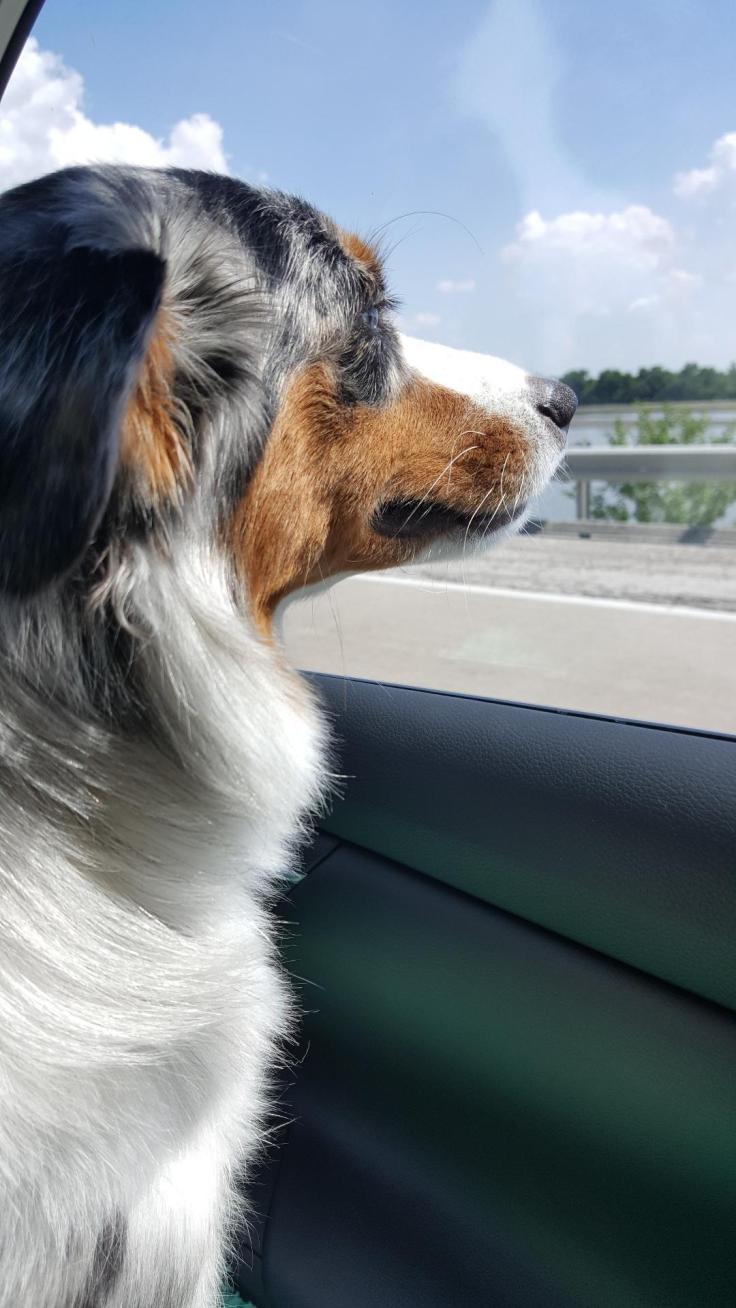 Aero traveling